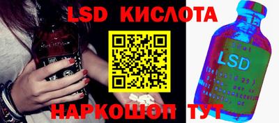 гашик Донской