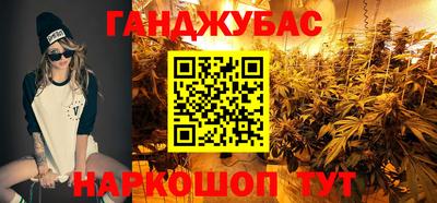 гашик Донской