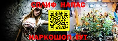 гашик Донской