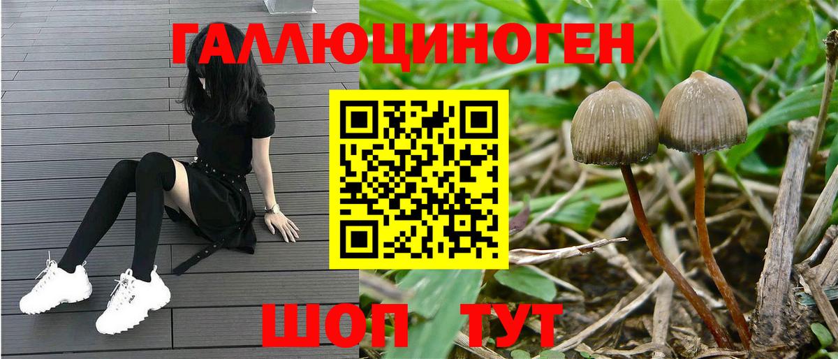 Галлюциногенные грибы мухоморы Кудрово