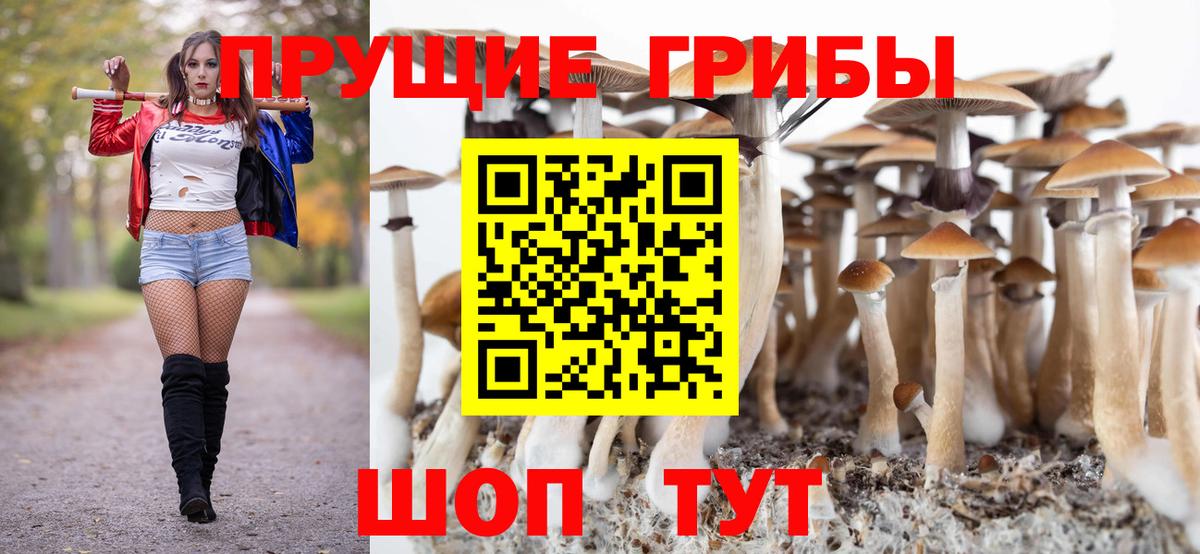 Галлюциногенные грибы ЛСД  Вход с VPN  Кудрово 